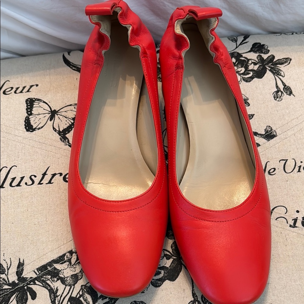 Everlane Day Heel in Poppy